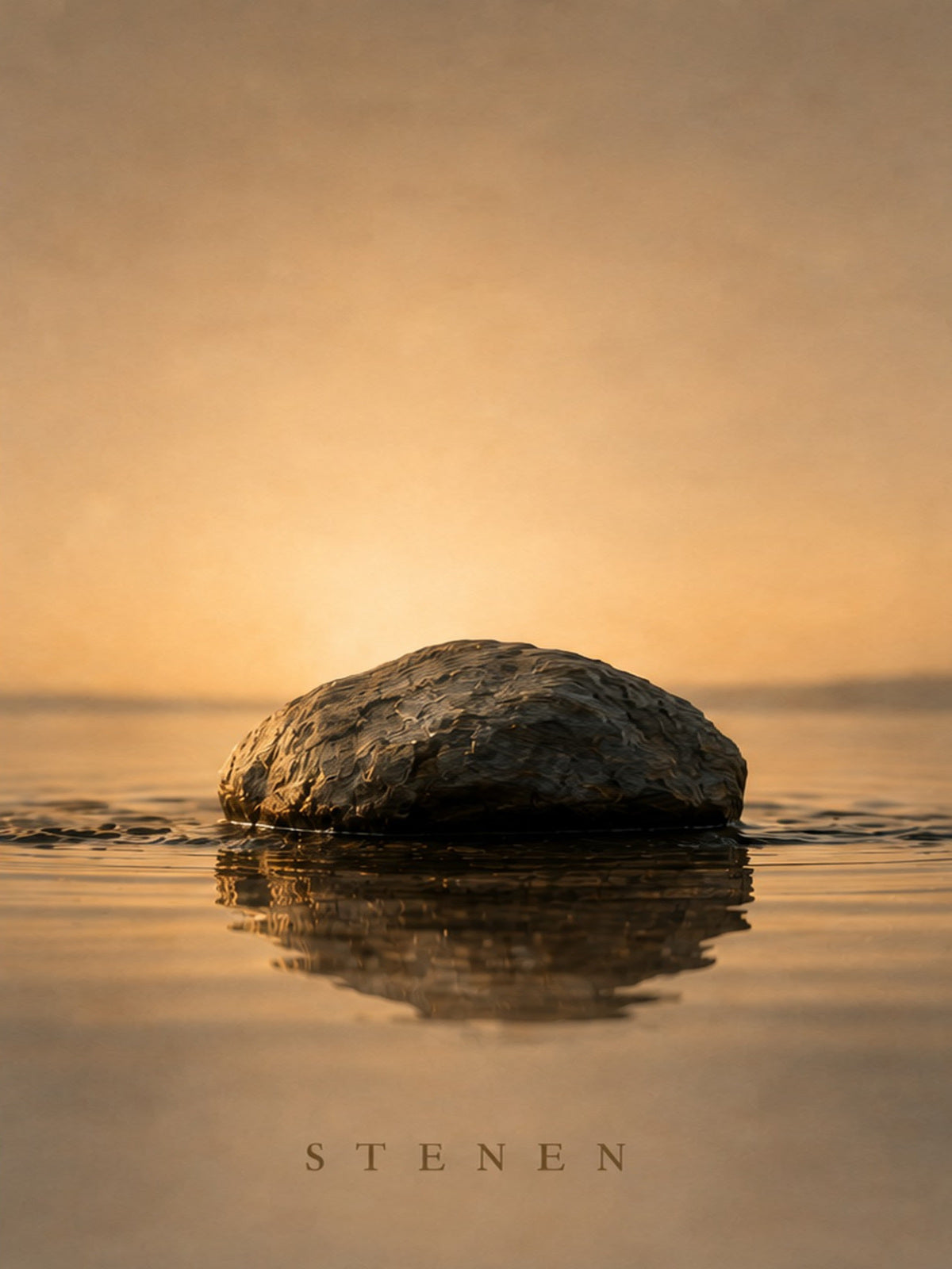 Plakaten Stenen