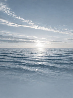 Havet