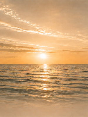 Havet